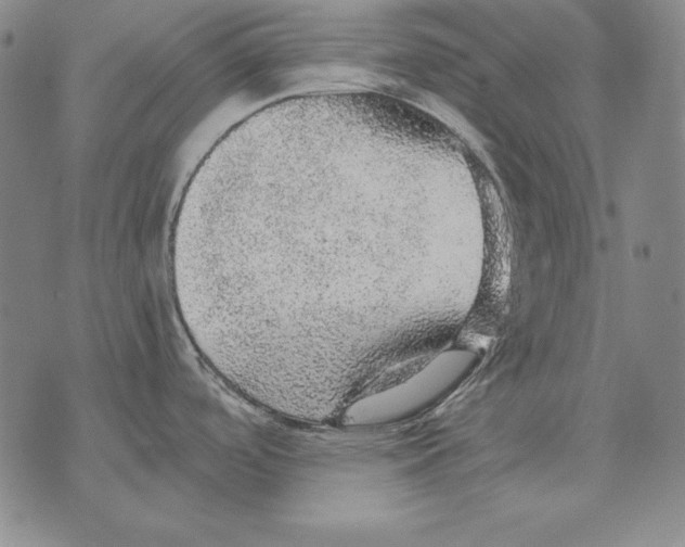 X0000076081488200610152240