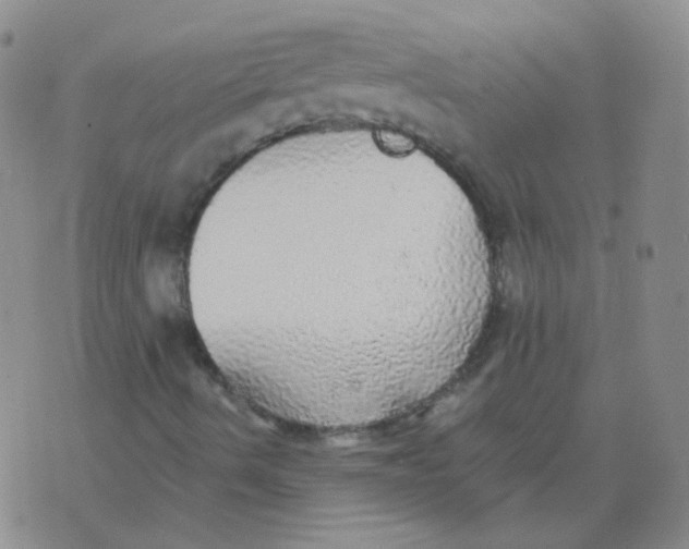 X0000076081490200610152239