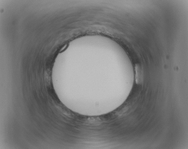 X0000076081491200610152239