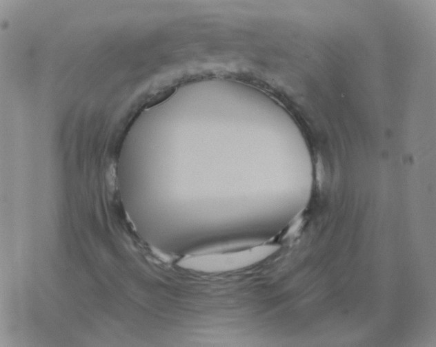 X0000076081492200610152239