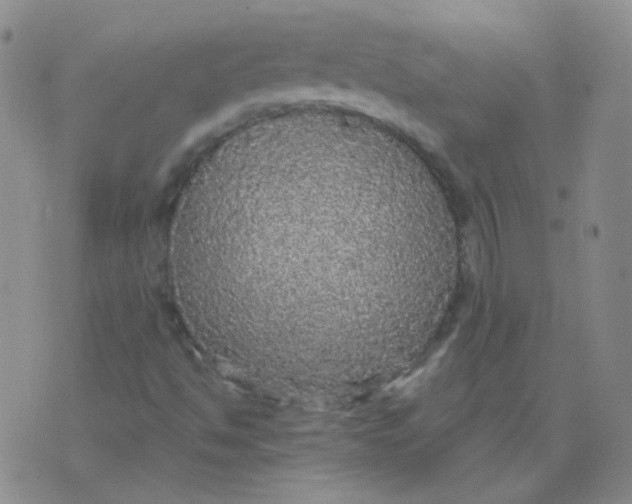 X0000076081494200610152239