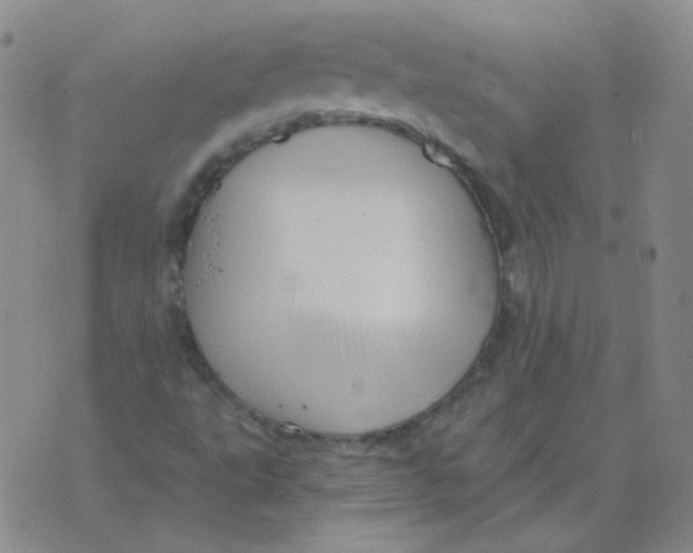 X0000076081495200610152239