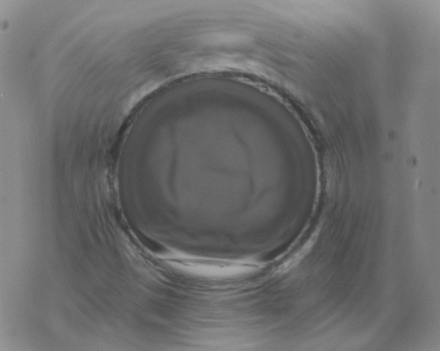 X0000076081497200610152239