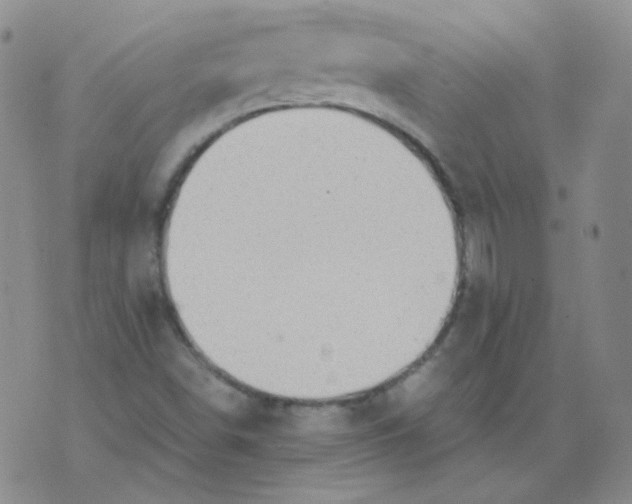 X0000076081498200610152239