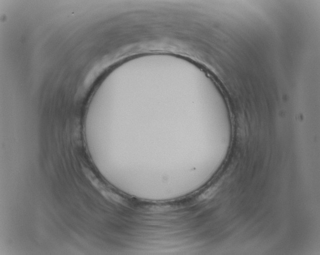 X0000076081499200610152239