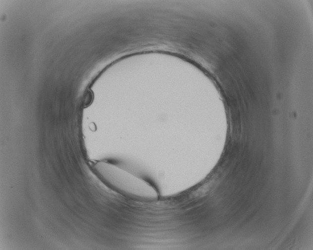 X0000076081500200610152239