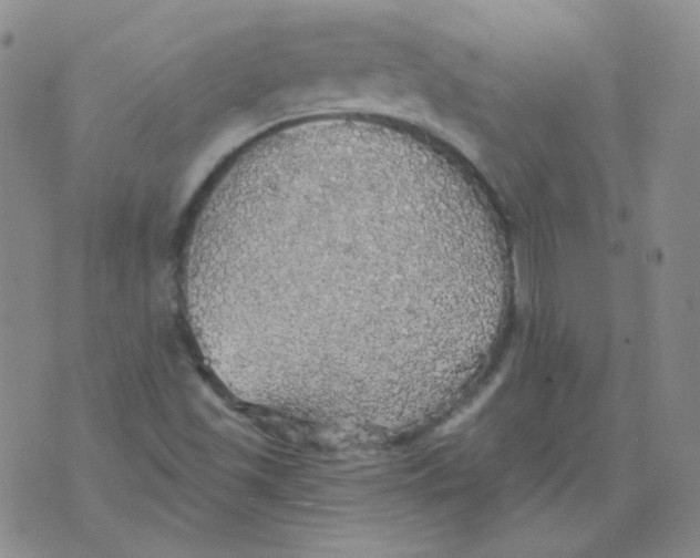 X0000076081501200610152239