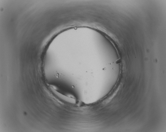 X0000076081502200610152239