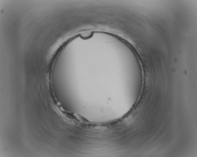 X0000076081503200610152239