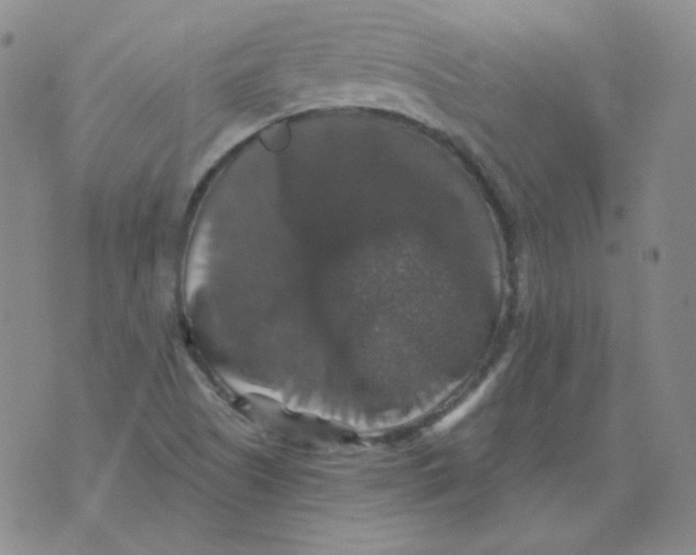 X0000076081505200610152239