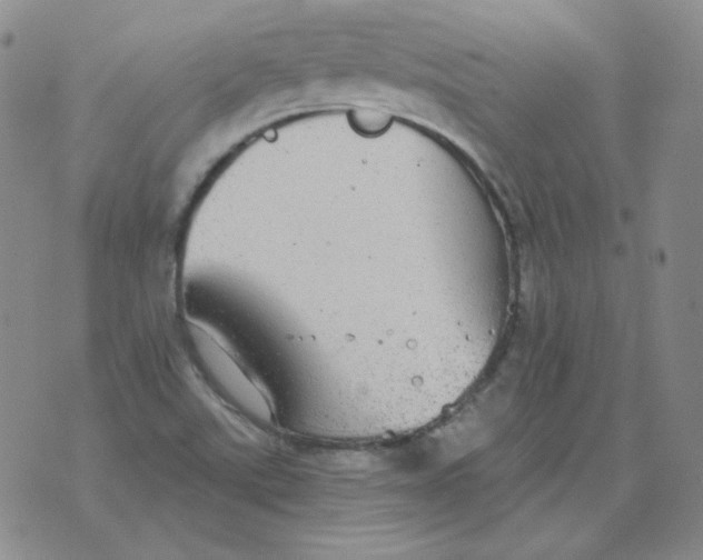 X0000076081507200610152240