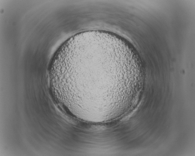 X0000076081509200610152240