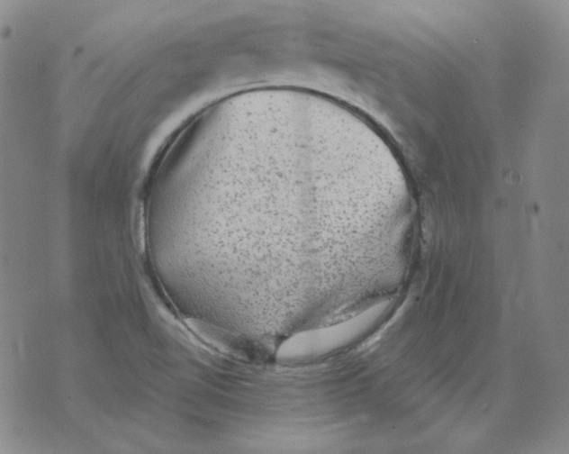 X0000076081510200610152240