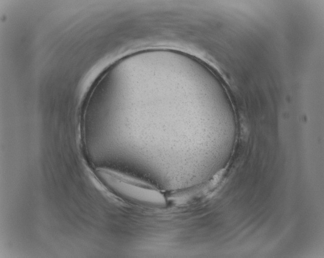 X0000076081511200610152240