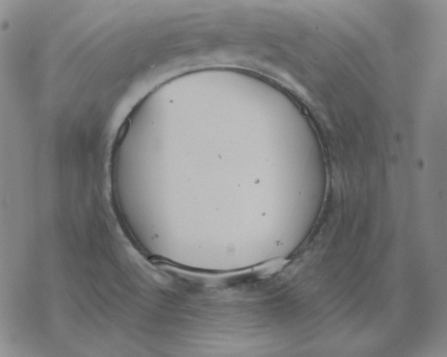 X0000076081512200610152240