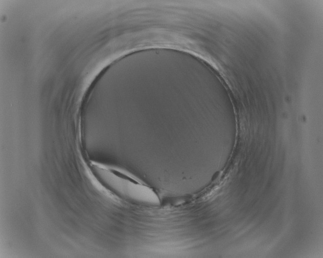 X0000076081515200610152240