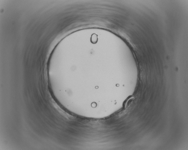 X0000076081516200610152240