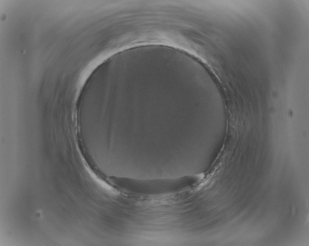 X0000076081519200610152240