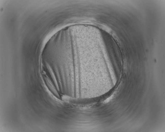 X0000076081520200610152240