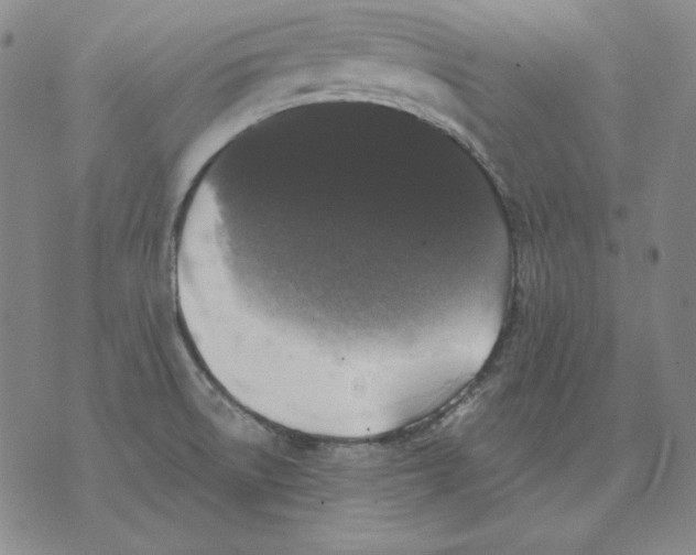 X0000076081522200610152240