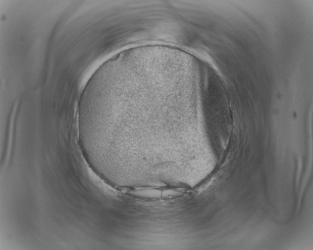 X0000076081524200610152240