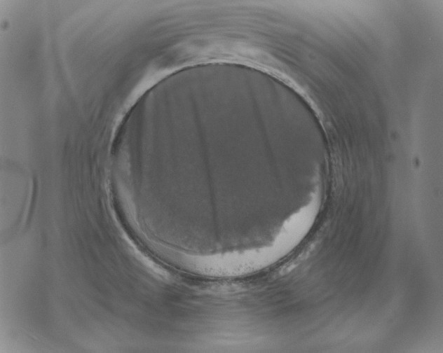 X0000076081525200610152240