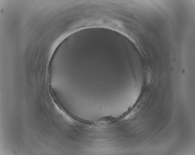 X0000076081527200610152240