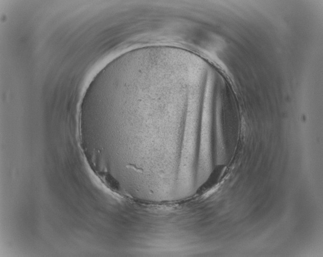 X0000076081528200610152240