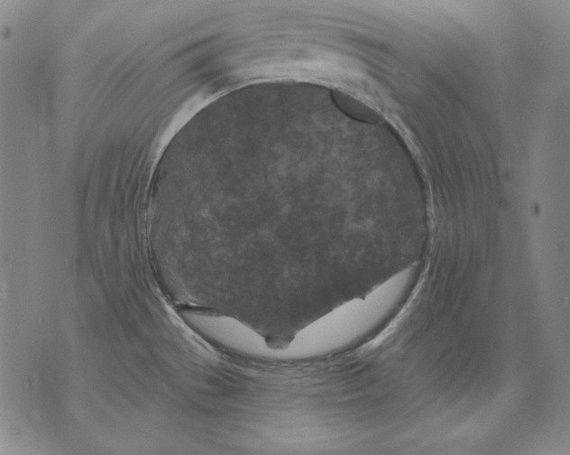 X0000076081529200610152240