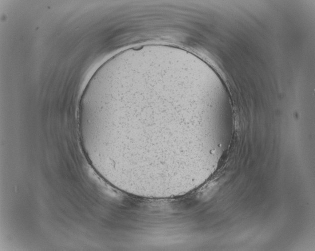 X0000076081532200610152240