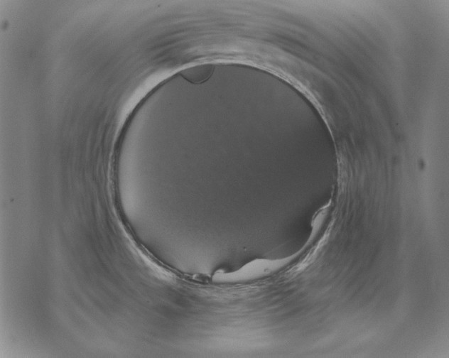 X0000076081533200610152240