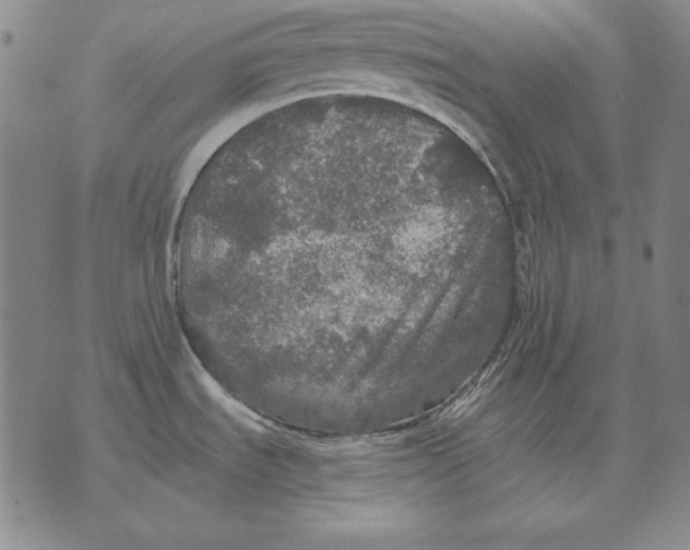 X0000076081535200610152240