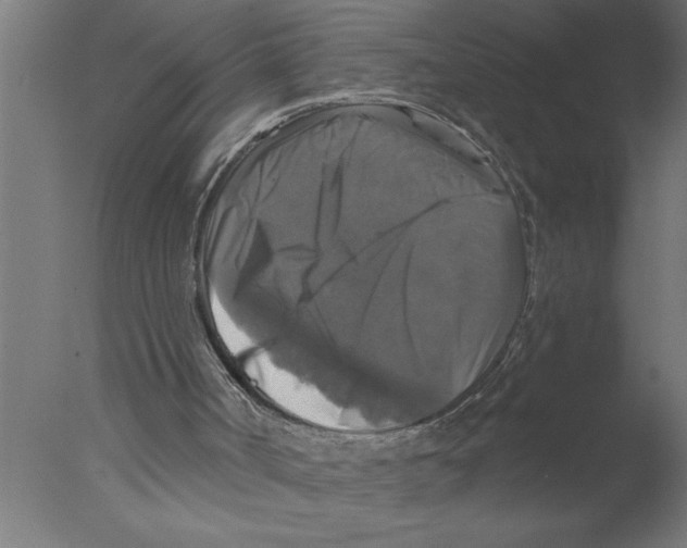 X0000076080002200610202052