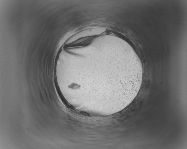 X0000076080003200610202052