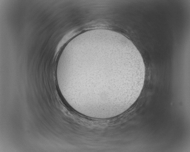 X0000076080004200610202052