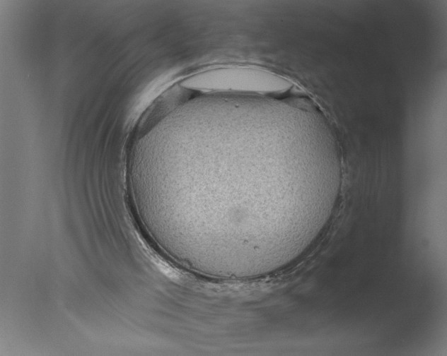 X0000076080005200610202052