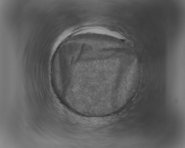 X0000076080006200610202052