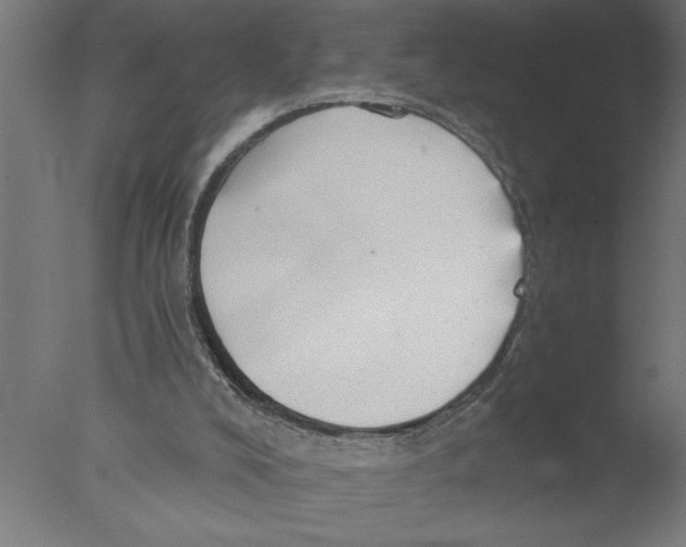 X0000076080008200610202052