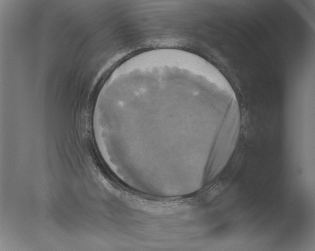 X0000076080012200610202052