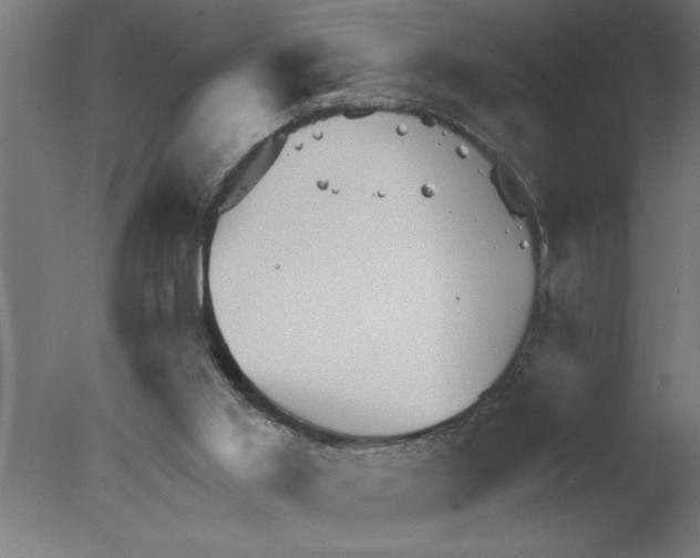 X0000076080013200610202052