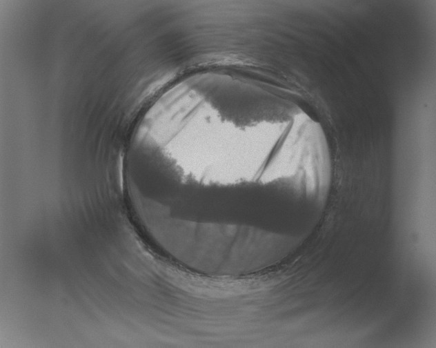 X0000076080014200610202052