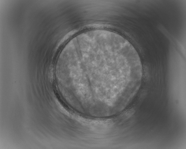 X0000076080016200610202052