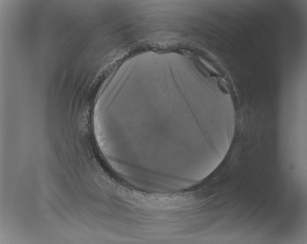 X0000076080018200610202052