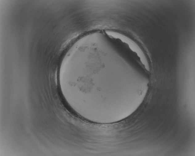 X0000076080019200610202052