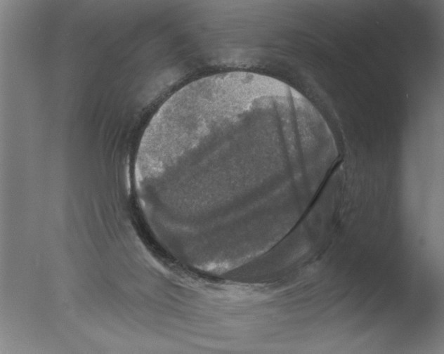 X0000076080020200610202052