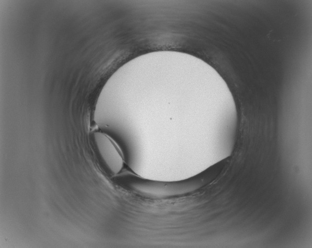 X0000076080021200610202052