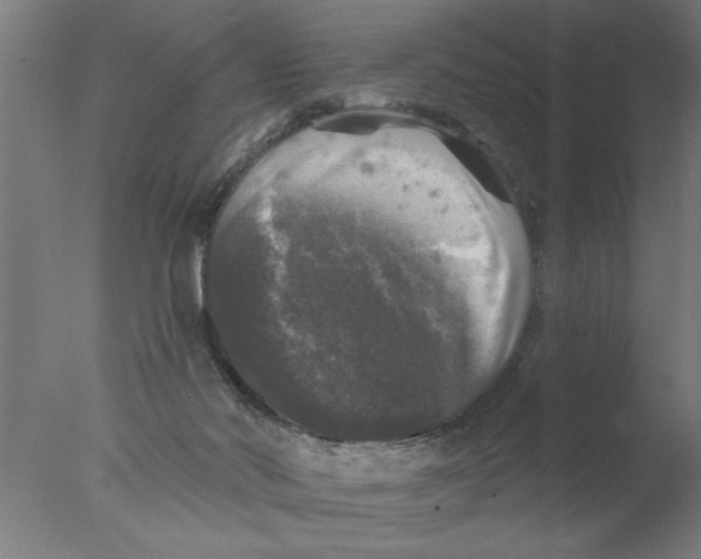 X0000076080022200610202052