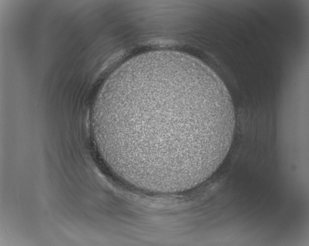 X0000076080024200610202052