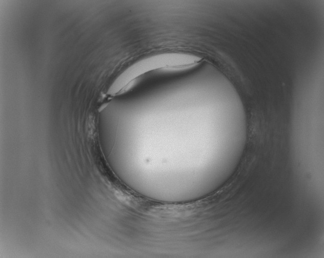 X0000076080025200610202052