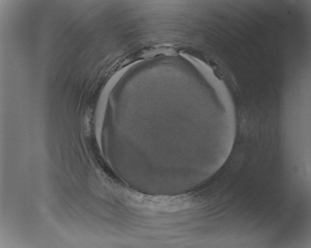 X0000076080026200610202052